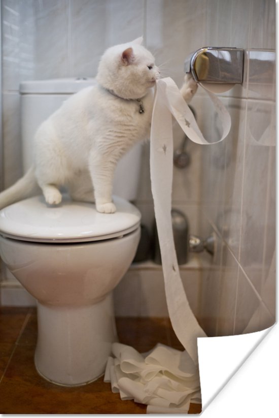 Affiche Chat qui joue avec du papier toilette - 120x180 cm XXL | bol.com