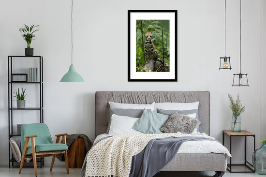 Affiche avec cadre Ocelot du Costa Rica - 60x90 cm