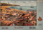 Legpuzzel House Of Puzzeles Rock Pool