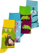 SocksWorld-Sokken-GiftBox-Maat-37-42