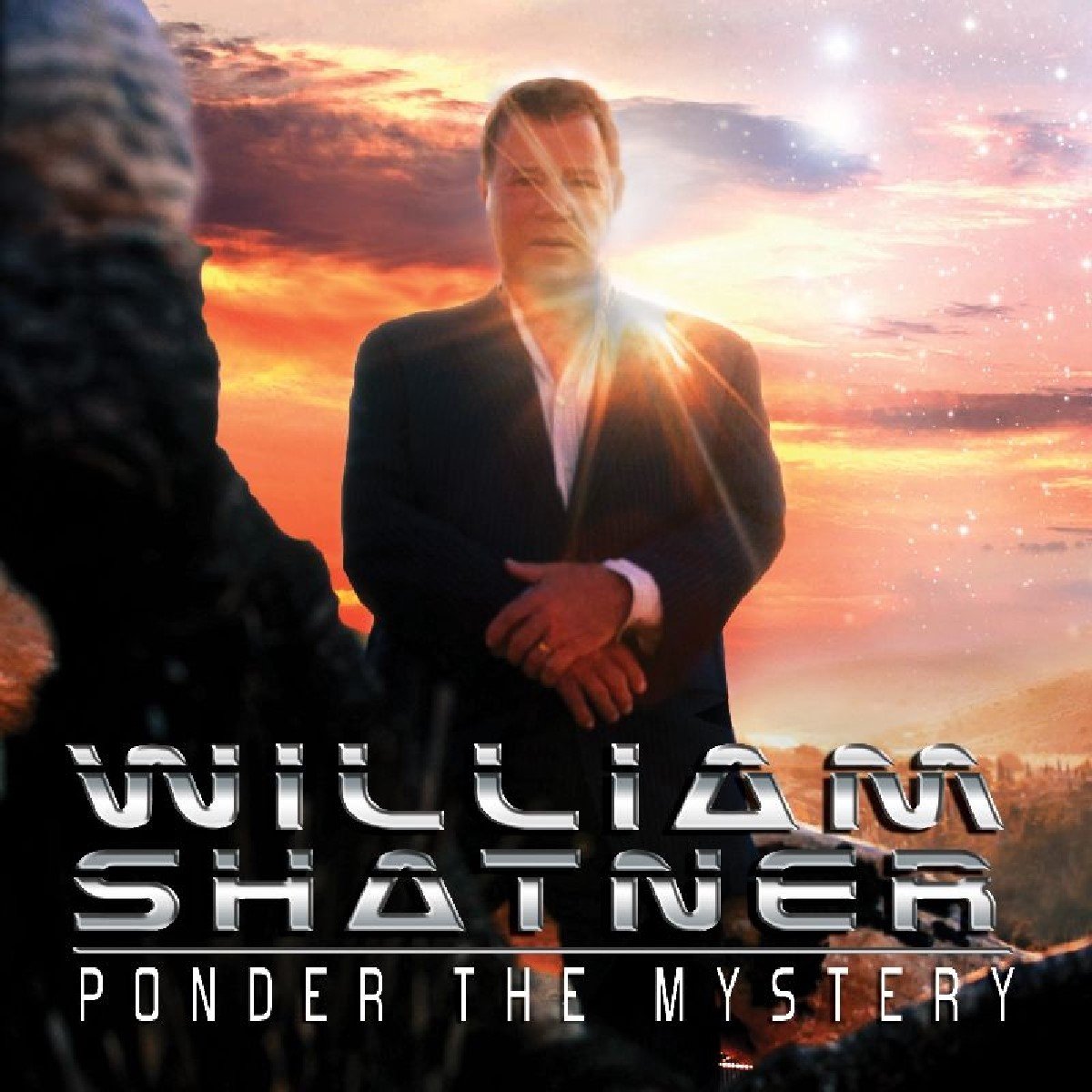 Ponder The Mystery (LP)
