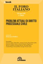 Problemi attuali di diritto processuale civile