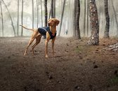 EzyDog Thermax Hondenjas Honden kleding - Accessoires - L - Zwart