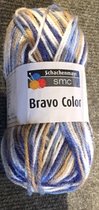 Schachenmayr Bravo Color Nr 00081