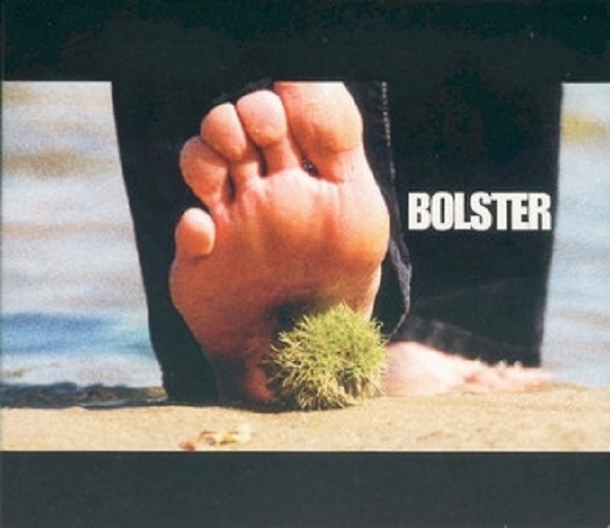 Bolster