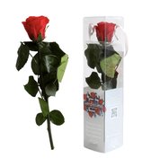 Moederdag tip - Roos op steel 30cm - minimaal 2 jaar lang - Longlife Roos 'rood' in Giftbox - no water - 30cm lang - roos in verpakking - Perfect Cadeau