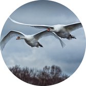 Behangcirkel Vliegende zwanen | ⌀ 140 cm | Wandecoratie | Wandcirkel