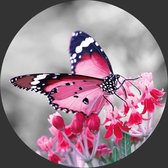 Behangcirkel roze vlinder 155 cm | Wandecoratie | Wandcirkel