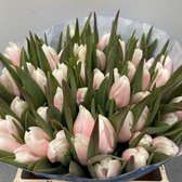 Verse Tulpen -  Pastel Pink - 50 stuks