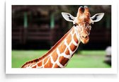 Walljar - Cute Giraffe - Dieren poster