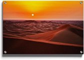 Walljar - Desert Sunset - Muurdecoratie - Plexiglas schilderij