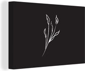 Lys d'arum au trait botanique sur fond noir toile 2cm 30x20 cm - petit - Tirage photo sur toile (Décoration murale salon / chambre) / Peintures Fleurs sur toile