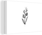 Impression sur Toile Botanique Dessin au Trait d'une plant en Fleurs - 30x20 cm - Décoration murale