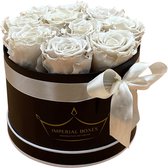 Flowerbox Longlife Rozen - Dreamy White - Klein Zwart