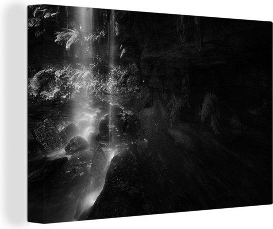 Tableau sur toile Soleil à travers les feuilles - paysage noir et blanc - 60x40 cm - Décoration murale