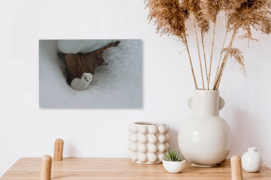 Tableau sur toile Belette Witte dans la neige - 30x20 cm - Décoration murale