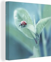 Tableau sur toile Coccinelle sur une feuille - 20x20 cm - Décoration murale