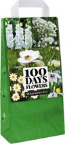 Jub Holland bloembollen - Garden White mix - witte bloemen - zomerbloeiend - 125 stuks in draagtas