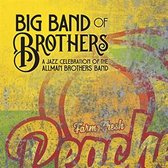 Jazz Celebration Of The Allman Brothers Band (Peach Vinyl)