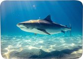 Muismat Haai Rubber - Hoge kwaliteit foto van een haai - Muismat op polyester bedrukt - 25 x 19 cm - Anti-slip muismat - 5mm dik - Muismat met foto - heerlijk voor op je bureau