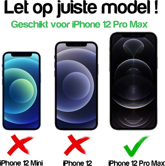 Comparaison des iPhone 12 Mini, iPhone 12 et iPhone 12 Pro Max, avec une coche verte pour l'iPhone 12 Pro Max.
