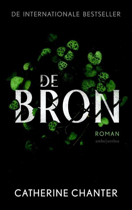 De bron - cover