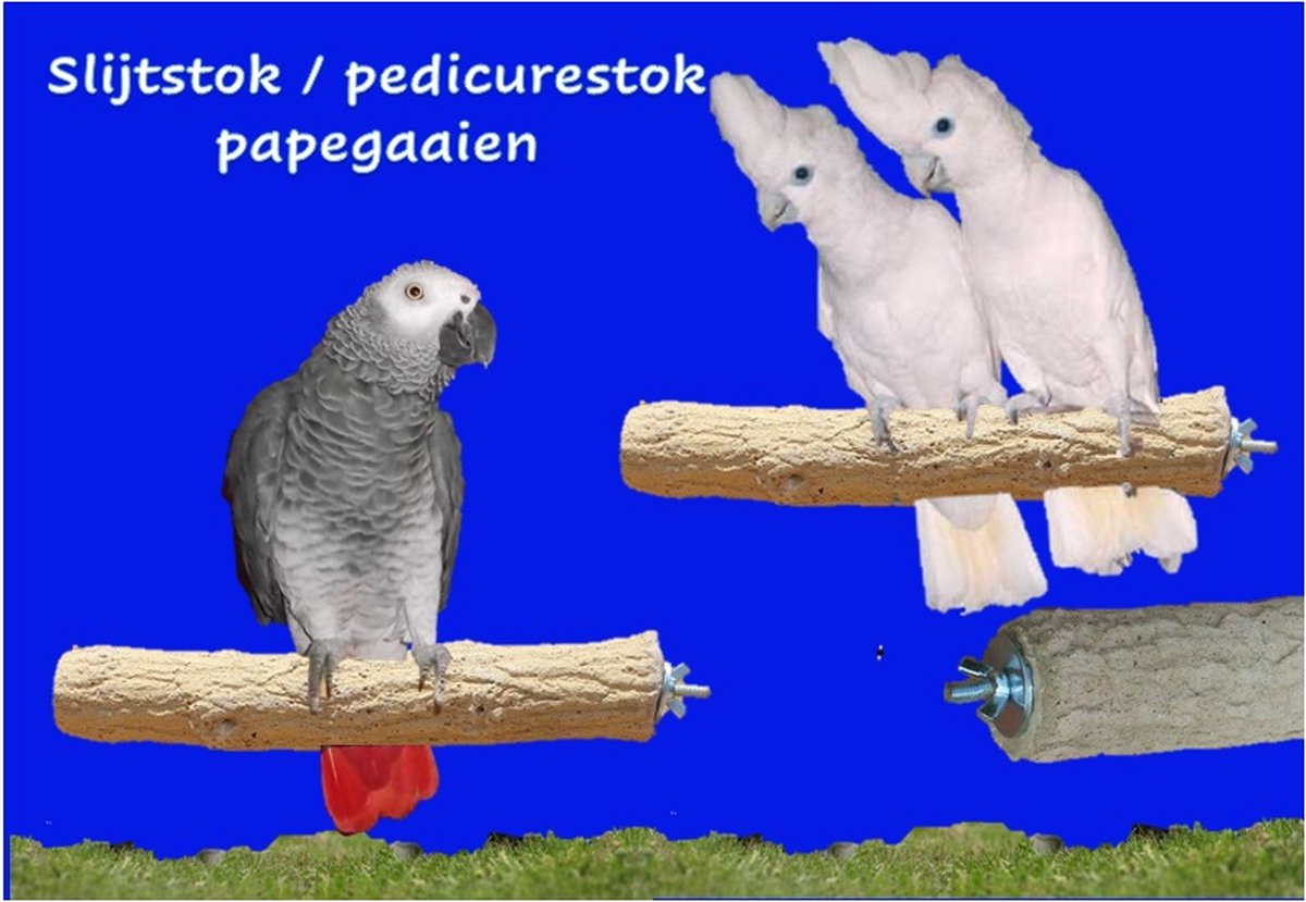 journalist optie Een goede vriend Nagel slijtstok / pedicurestok papegaaien (beton) | bol.com