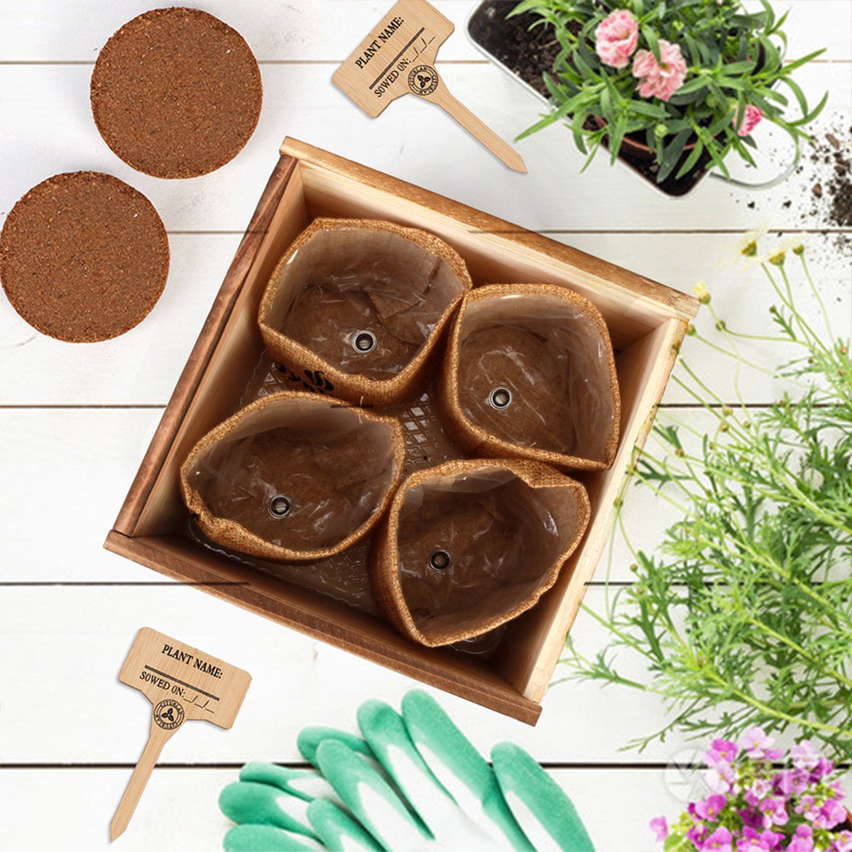 Kweek je eigen Bonsai kit - Kweek eenvoudig 4 soorten Bonsai bomen met Kweek je eigen Bonsai kit - Kweek eenvoudig 4 soorten Bonsai bomen met