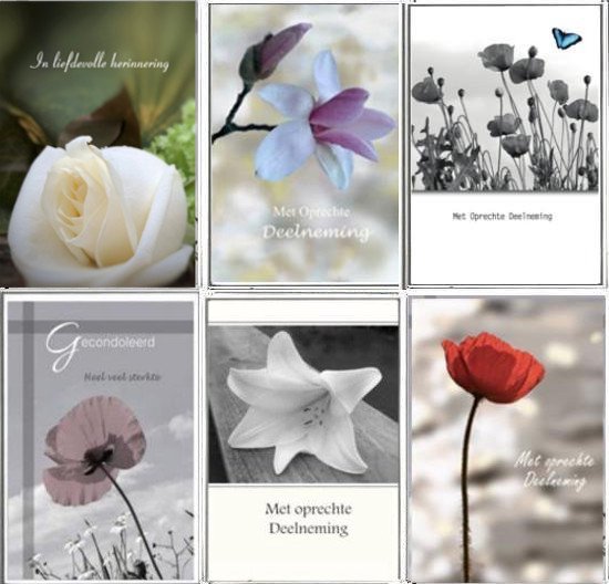 6 cartes de vœux de condoléances de Luxe Premium - Sincères condoléances -  17x12cm 