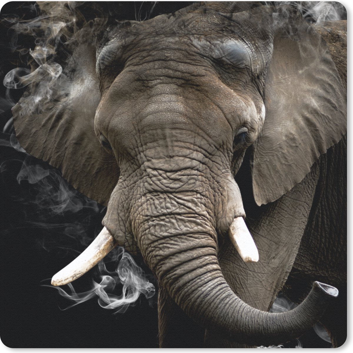 Muismat 20x20 cm - Mousepad Olifant - Rook - Tanden - Muismatten
