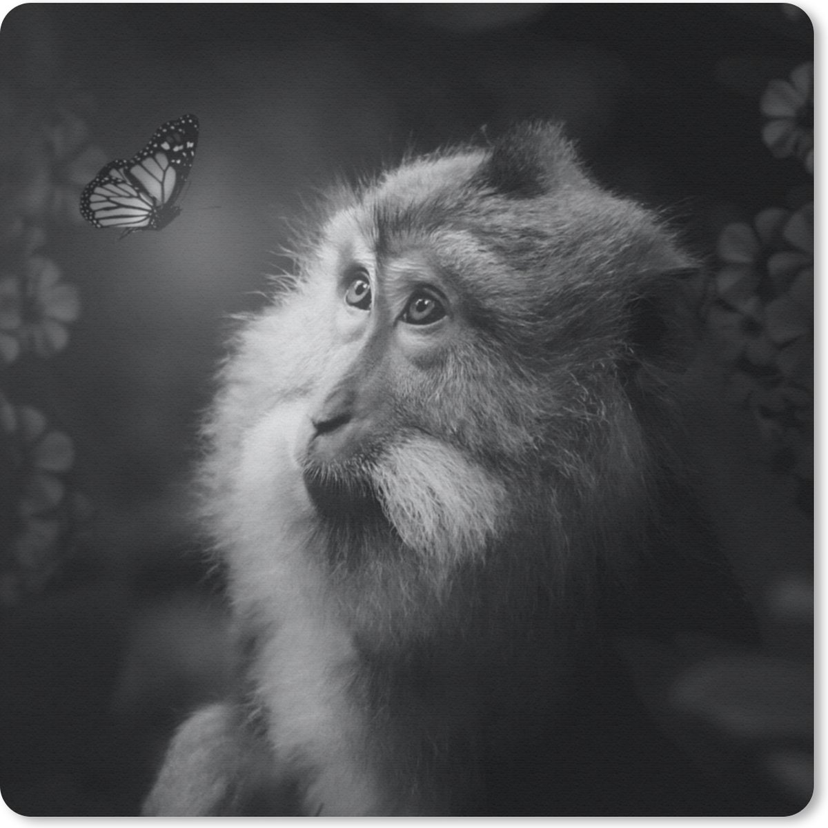 Muismat 20x20 cm - Mousepad Vlinder - Aap - Natuur - Zwart - Wit - Muismatten