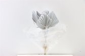 Gedroogd Palm Speer Wit - Droogbloemen - 10 stuks - Decoratieve takken - GRATIS verzending