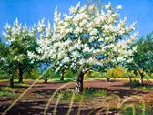 DP Diamond Painting Blossoming Trees - formaat 80 x 60 cm - Volledige bedekking, vierkante steentjes - Hoogste kwaliteit van DP Benelux Diamond Paintings