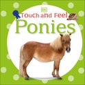 Touch and Feel Ponies