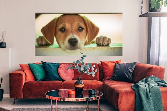 Poster Un chiot regarde à travers une clôture - 160x80 cm