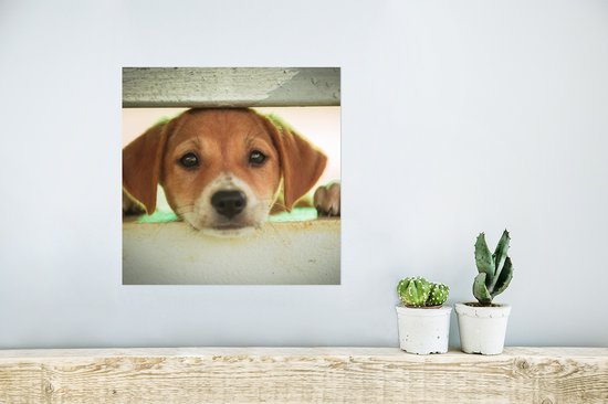 Poster Un chiot regarde à travers une clôture - 30x30 cm