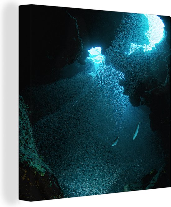 Canvas Schilderij Vissen zwemmen in een grot met doorbrekend zonlicht bij de Grand Cayman - 50x50 cm - Wanddecoratie