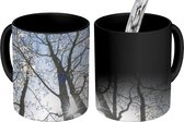 Magische Mok - Foto op Warmte Mok - Bloeiende vaantjesboom met een blauwe hemel - 350 ML