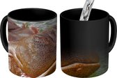Magische Mok - Foto op Warmte Mok - Nijlpaard - Water - 350 ML