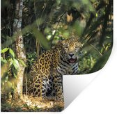 Muurstickers - Sticker Folie - Verstopte jaguar in de jungle - 50x50 cm - Plakfolie - Muurstickers Kinderkamer - Zelfklevend Behang - Zelfklevend behangpapier - Stickerfolie