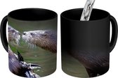 Magische Mok - Foto op Warmte Mokken - Koffiemok - Otters op boomstam - Magic Mok - Beker - 350 ML - Theemok