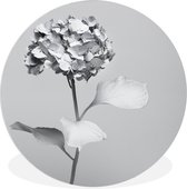 Cercle Mural - Cercle Mural Intérieur - Hortensia Zwart& Blanc - ⌀ 60 cm - Décoration murale - Peintures Ronds