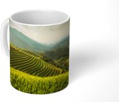 Mok - Groot rijstveld in Vietnam - 350 ML - Beker