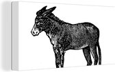 Canvas Schilderij Een illustratie van een zwarte ezel - 80x40 cm - Wanddecoratie