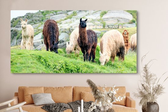 Tableau sur Toile Alpaga - Berg - Herbe - 160x80 cm - Décoration murale