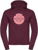 Wieler hoodie Passo Dello Stelvio