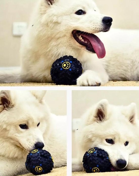 Collage van een witte hond met een zwarte bal, met close-ups van de hond die met de bal speelt.