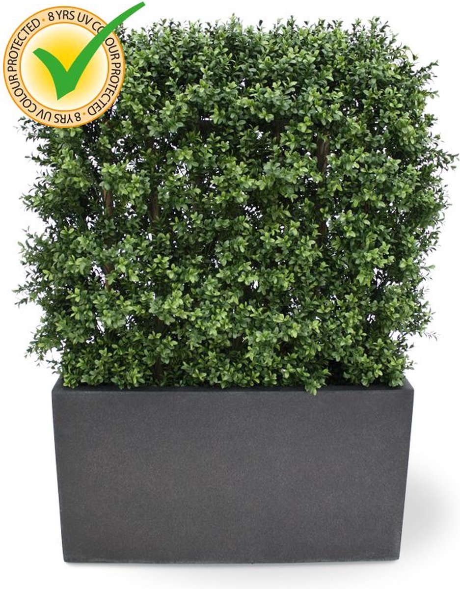 maxifleur Kunstplanten Buxus deluxe kunstheg 80x100cm - UV bestendig Groen