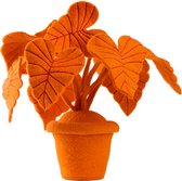 Vilten plant Oreja, twee-kleurig, decoratief vilten object, multi-inzetbaar