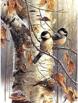 Lienz® Diamond Painting volwassenen 40x50cm – Rond – Vogeltjes in boom - Natuur - Pakket Volwassenen
